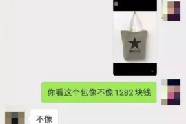 分宜如何避免债务纠纷？专业追讨公司教您应对之策